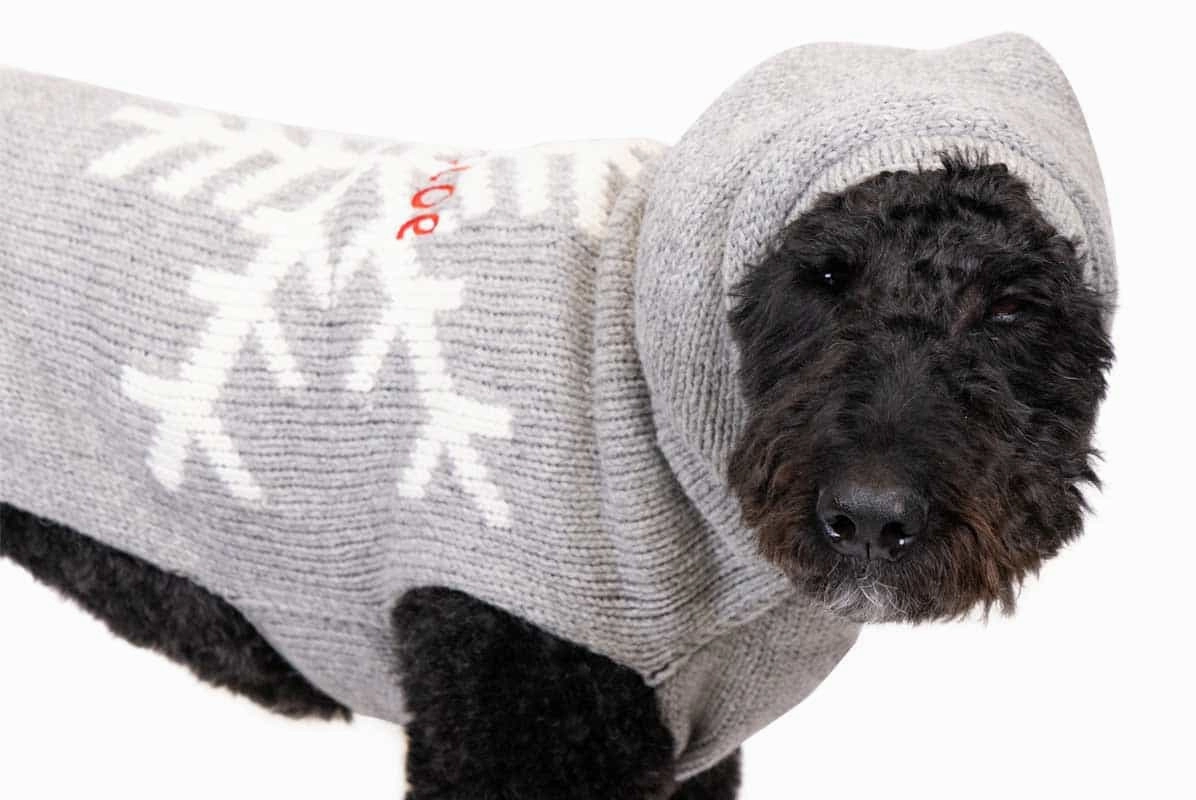 Snowflake Dog Sweater with Hood, Personalized