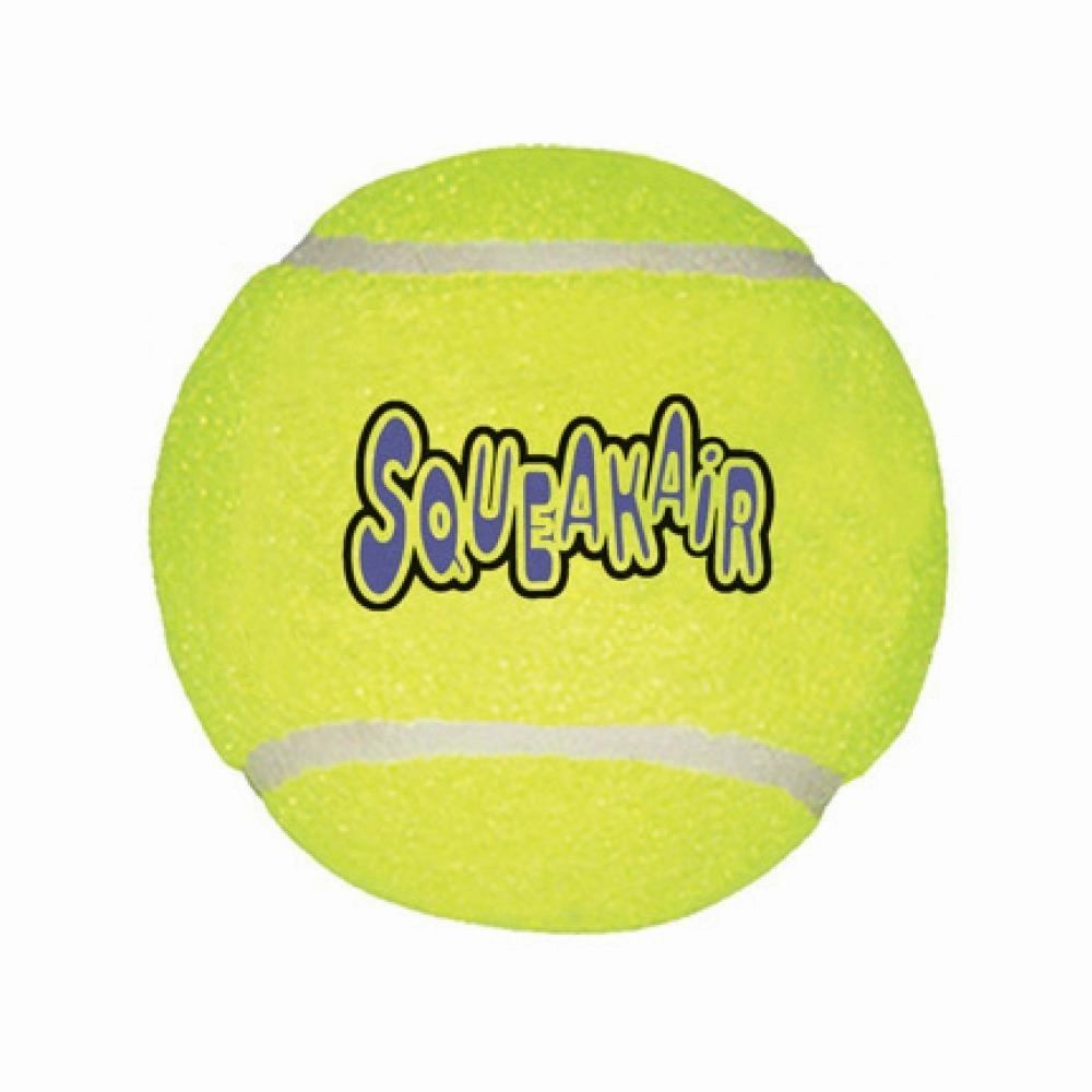 SqueakAir Ball Dog Toy