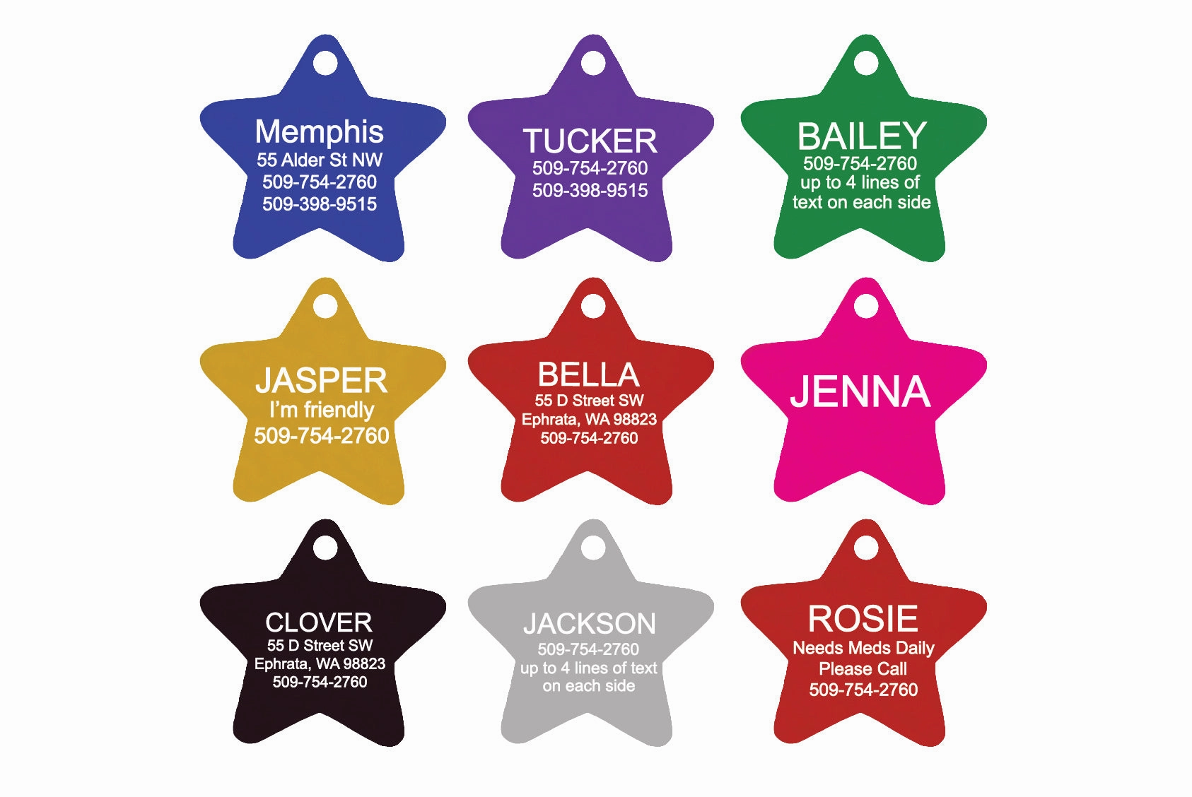 Star Shaped Pet ID Tag