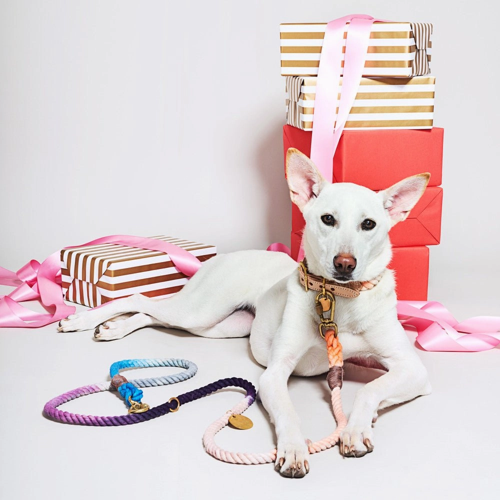 The Lois Ombre Cotton Rope Dog Leash, Adjustable | Found My Animal