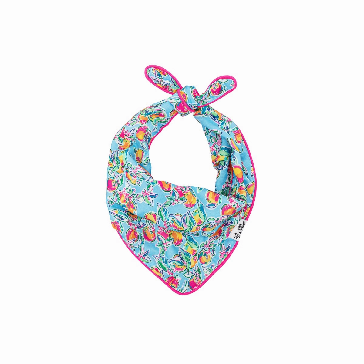 Tillie Dog Bandana