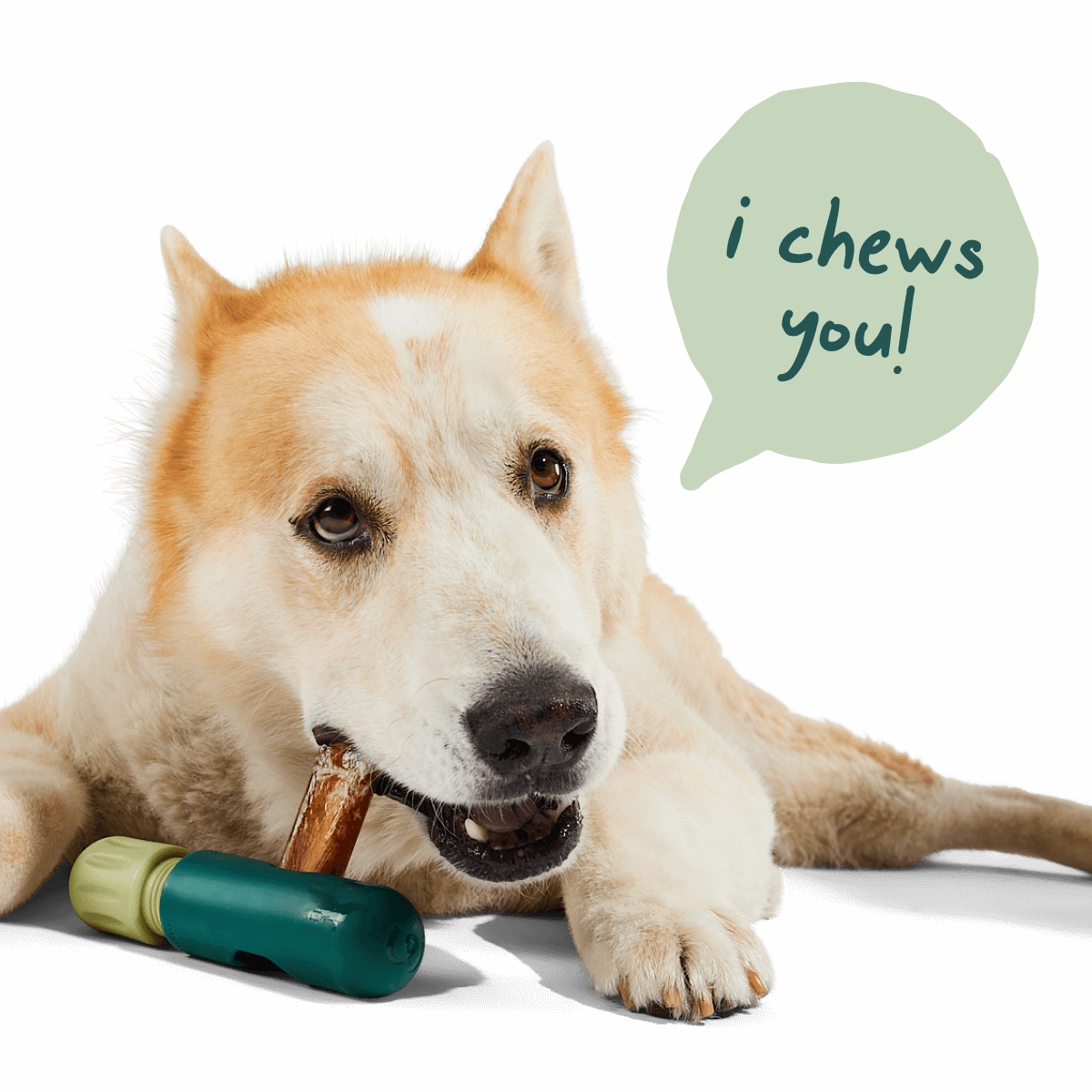 Woof All-Natural Collagen Sticks Dog Treats