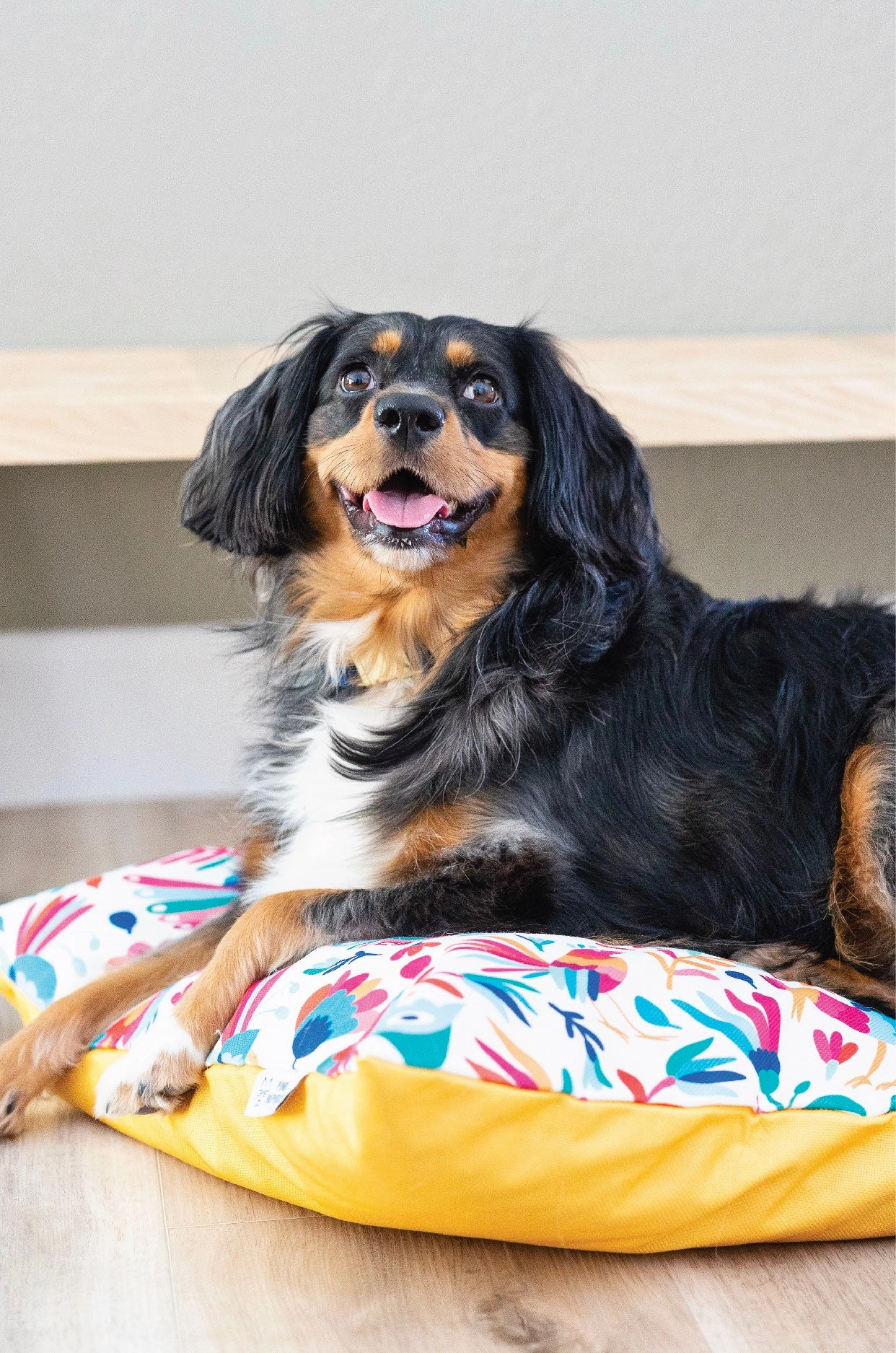 Yesenia Dog Bed